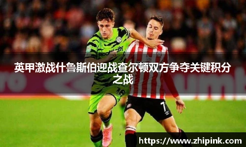 英甲激战什鲁斯伯迎战查尔顿双方争夺关键积分之战
